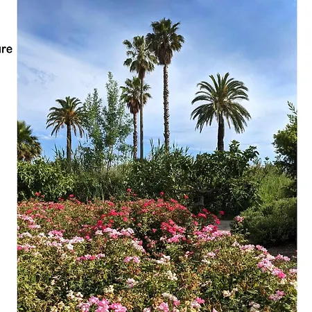 Lovely In The Heart Of